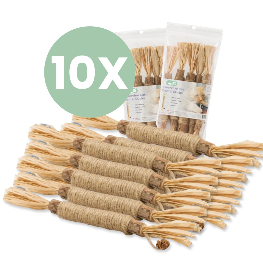 Veluna DentaSticks (balenie 5 ks)