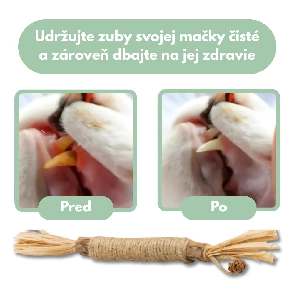 Veluna DentaSticks (balenie 5 ks)