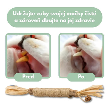 Veluna DentaSticks (balenie 5 ks)