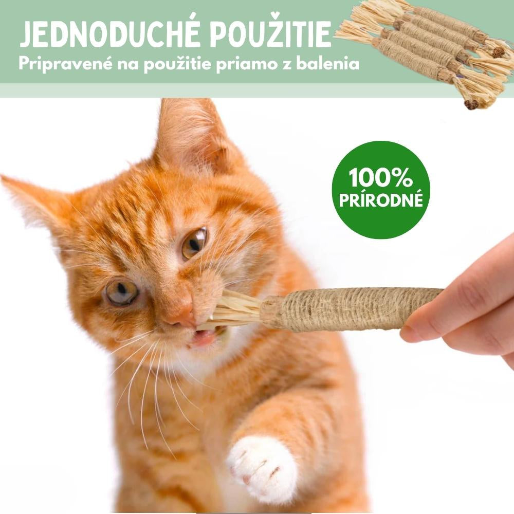 Veluna DentaSticks (balenie 5 ks)