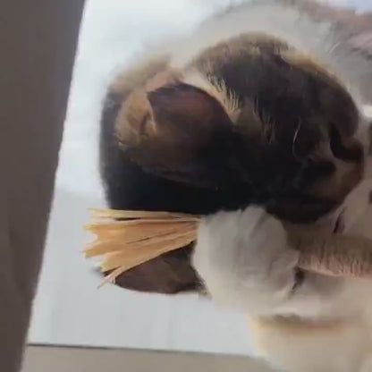 Veluna DentaSticks (balenie 5 ks)